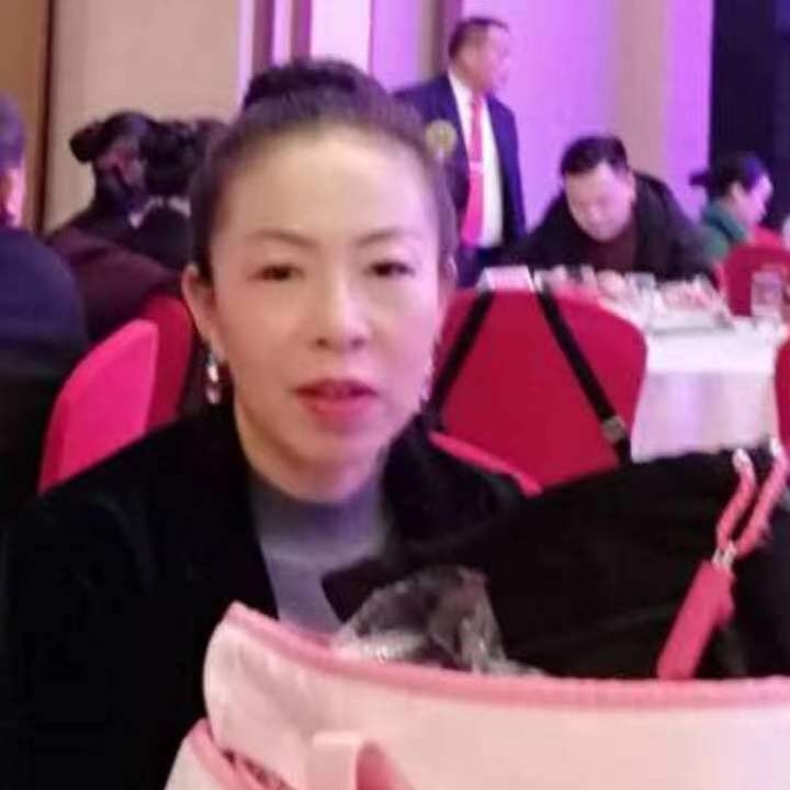 中秋桂花玉兔的第四张照片--江苏闪婚服务中心